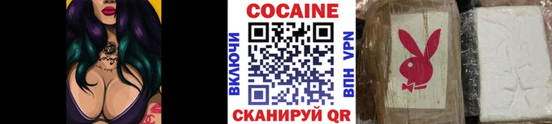 COCAIN VHQ Купить Новозыбков